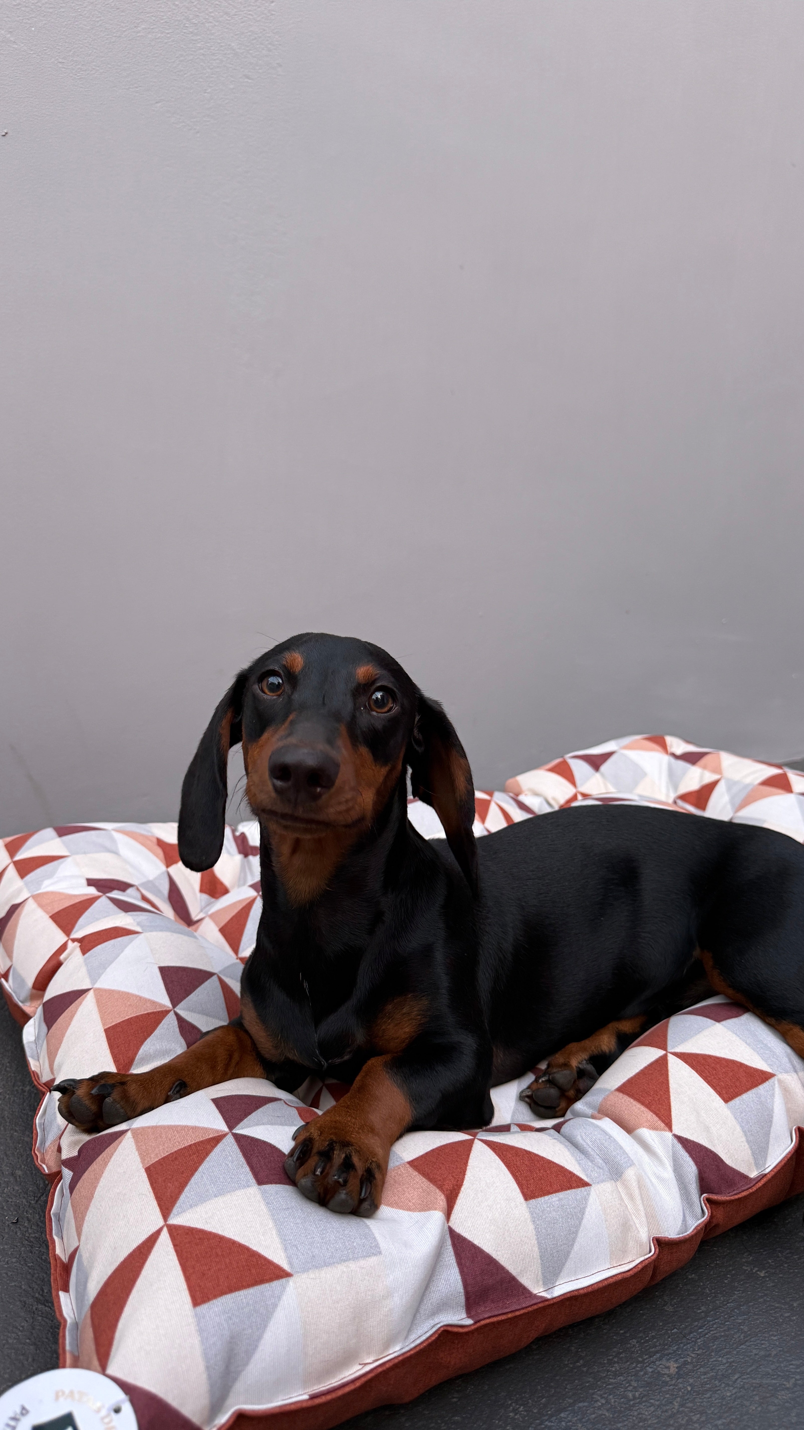 Patas de Luxo